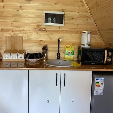 A-Frame House Aizhan Saty Dış mekan fotoğraf